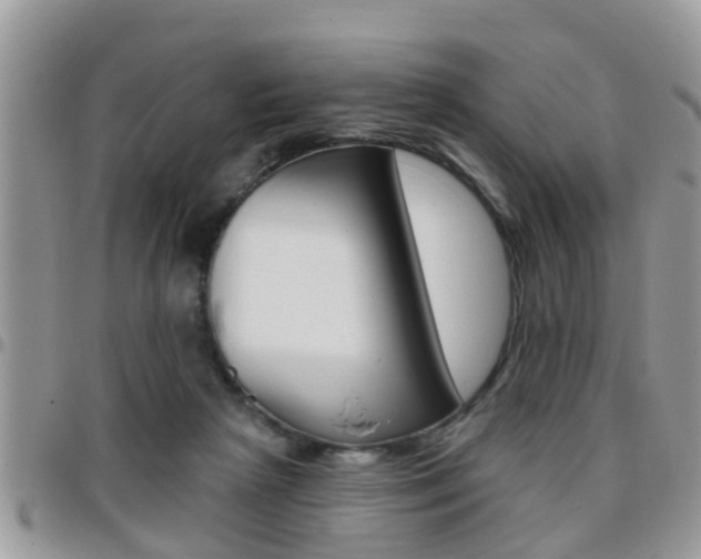 X0000096150265200801180836