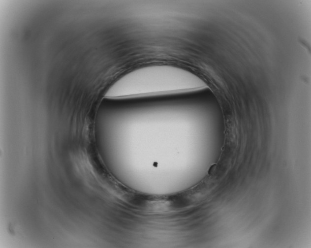 X0000096150266200801180836