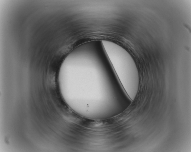 X0000096150267200801180836