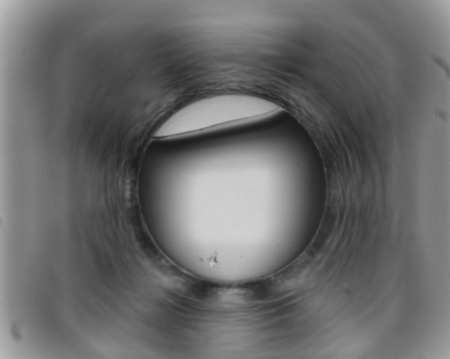 X0000096150268200801180836