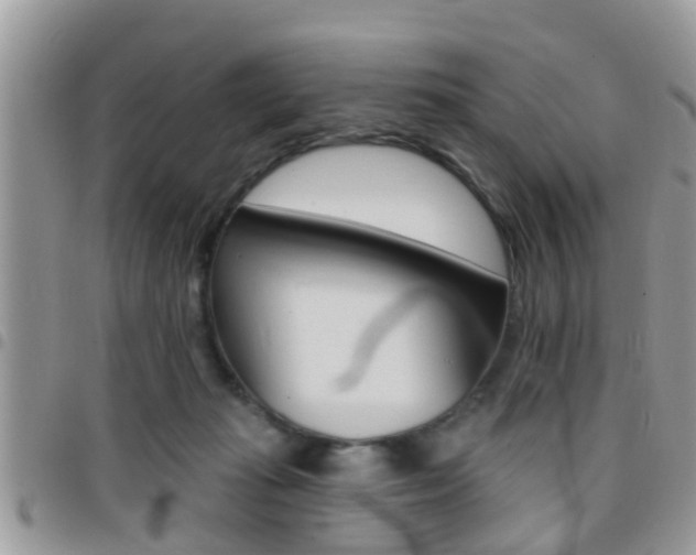 X0000096150269200801180836