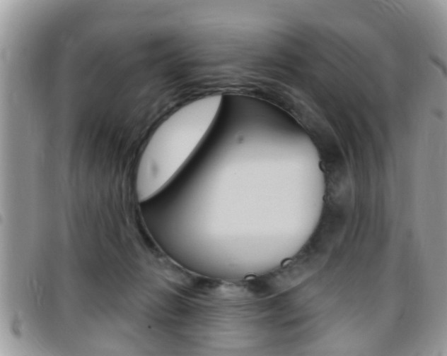 X0000096150270200801180836