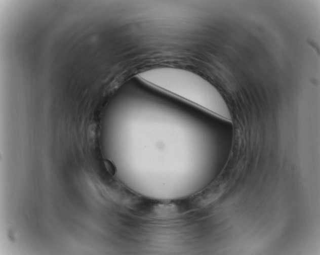 X0000096150271200801180836