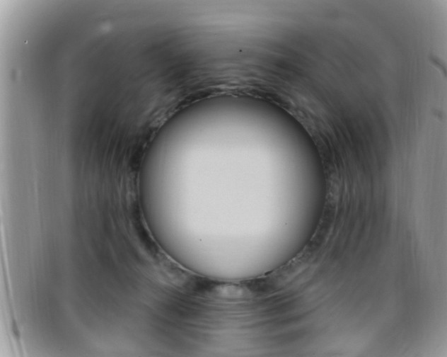 X0000096150272200801180836