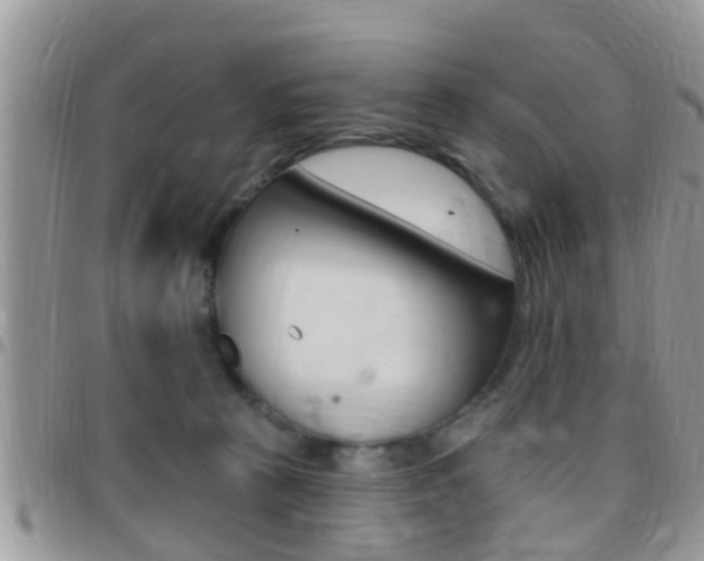 X0000096150273200801180836