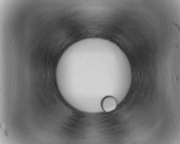 X0000096150276200801180836
