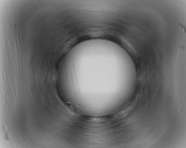 X0000096150277200801180836