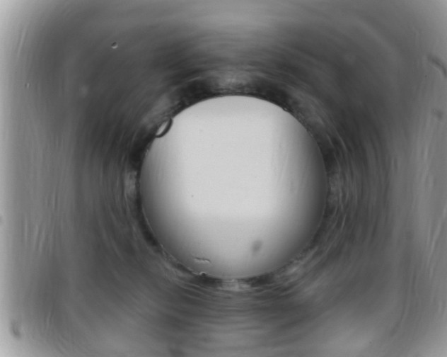 X0000096150278200801180836