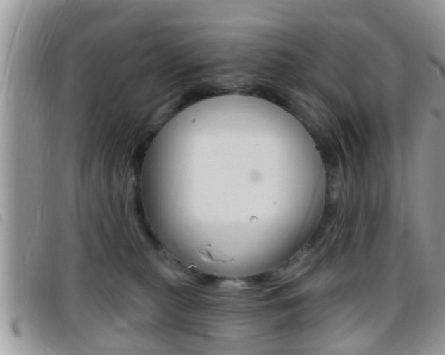 X0000096150279200801180836