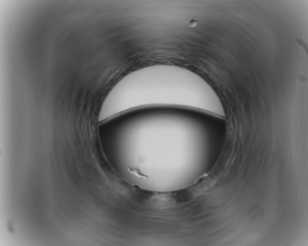 X0000096150280200801180836