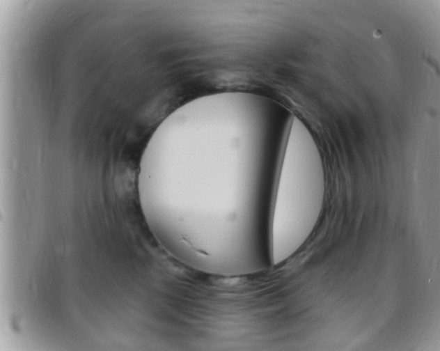 X0000096150281200801180836