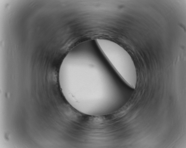 X0000096150282200801180836