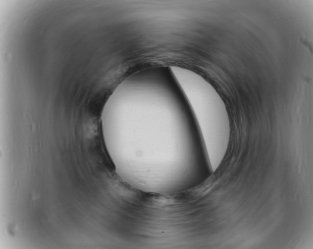 X0000096150284200801180836