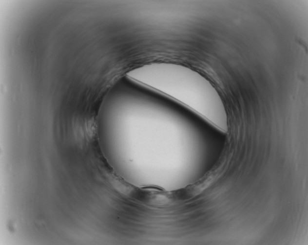 X0000096150285200801180836