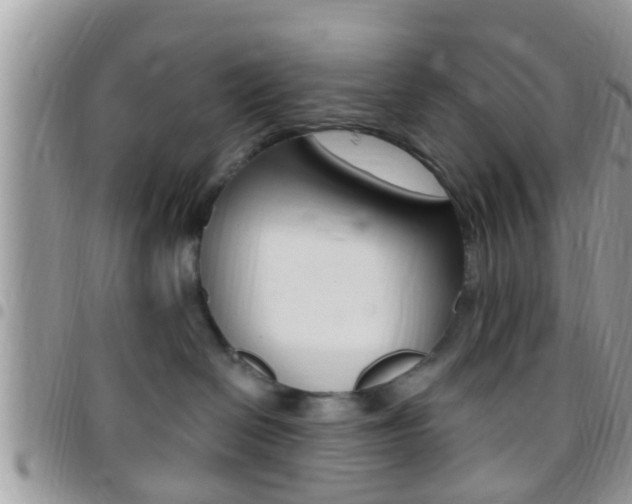 X0000096150286200801180836