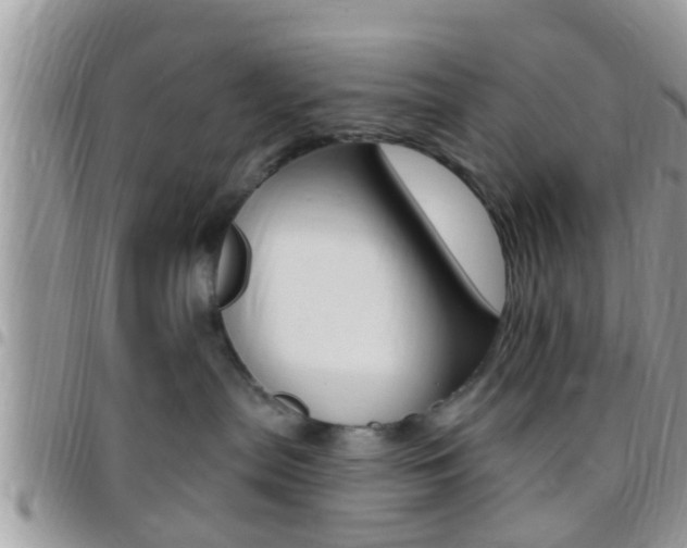 X0000096150287200801180836