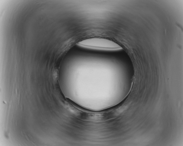 X0000096150288200801180836