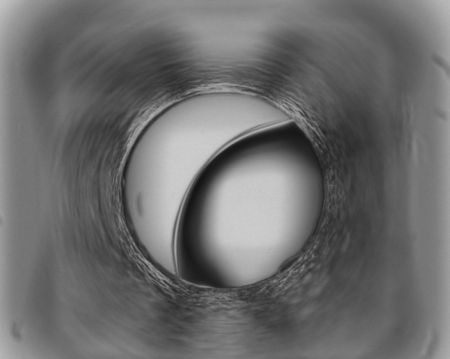 X0000096150289200801180835
