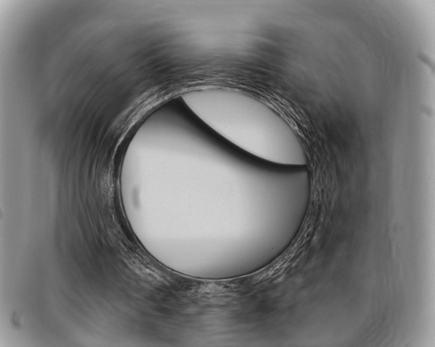 X0000096150290200801180835