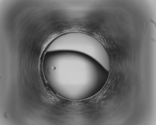 X0000096150292200801180835