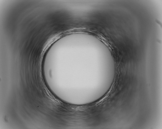 X0000096150293200801180835