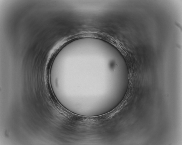 X0000096150294200801180835