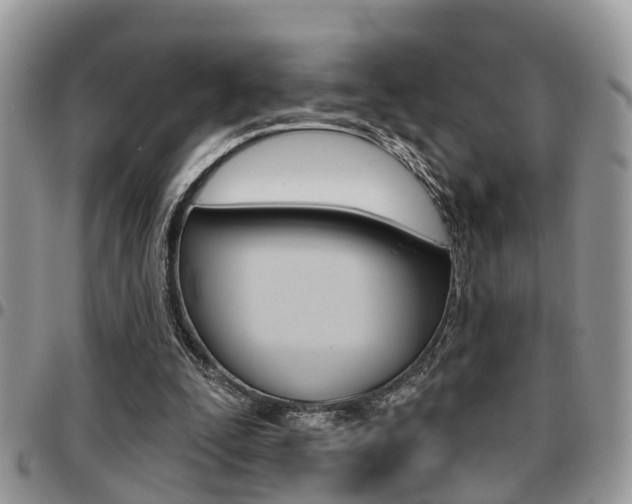 X0000096150295200801180835