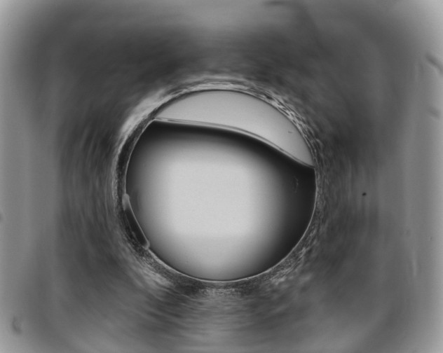X0000096150296200801180835