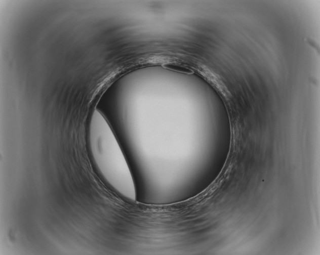 X0000096150297200801180835