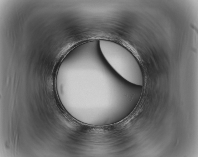 X0000096150298200801180835