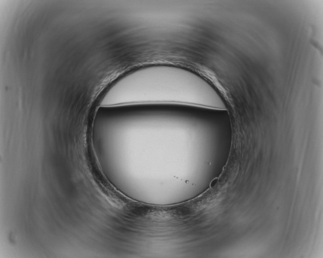 X0000096150299200801180835