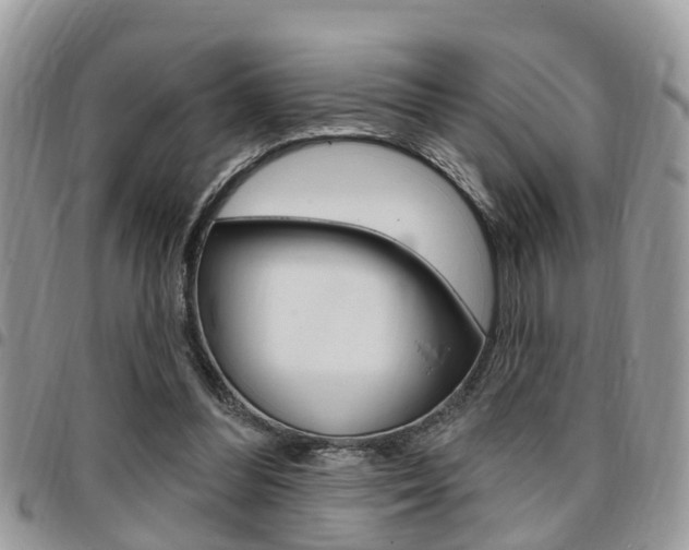 X0000096150300200801180835