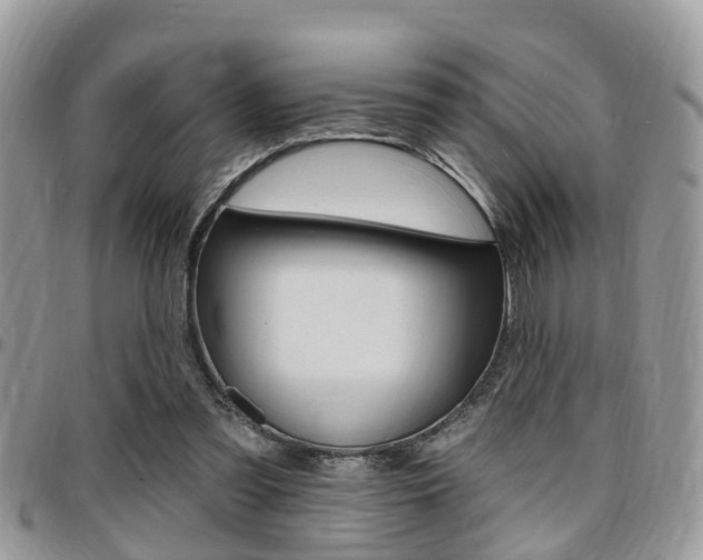 X0000096150301200801180835