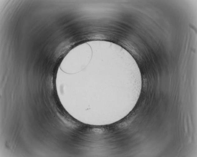 X0000096150302200801180835