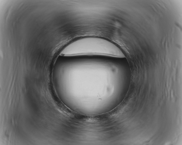 X0000096150303200801180835