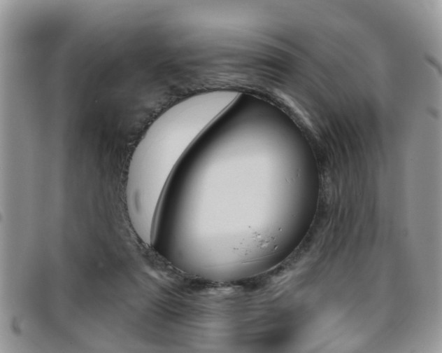 X0000096150307200801180835