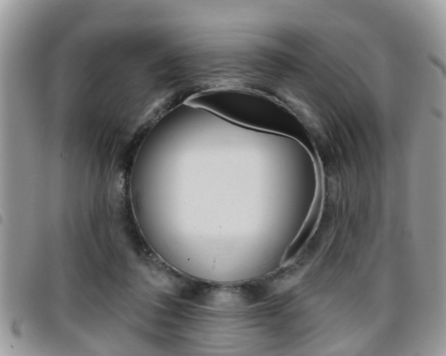 X0000096150308200801180835