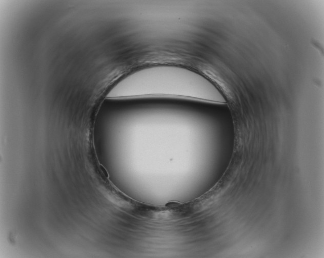 X0000096150309200801180835
