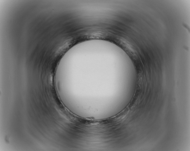 X0000096150310200801180835