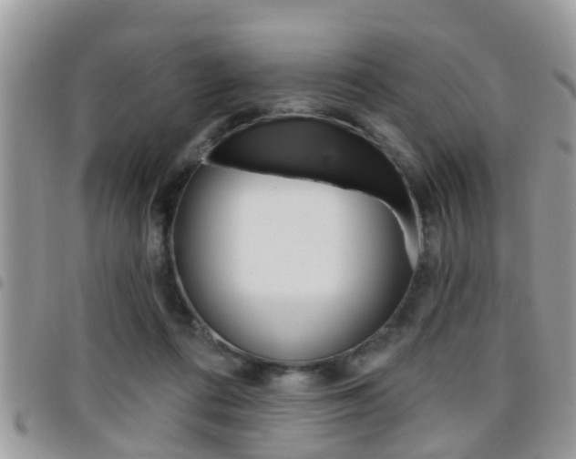 X0000096150312200801180835