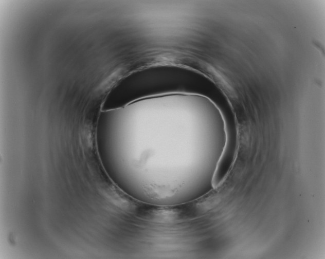X0000096150313200801180835