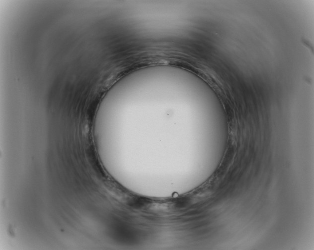 X0000096150314200801180835