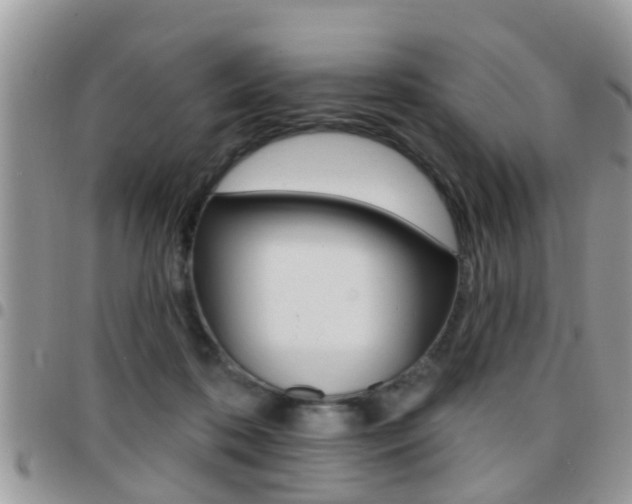 X0000096150316200801180835