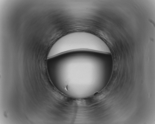 X0000096150317200801180835