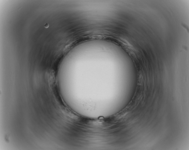 X0000096150318200801180835