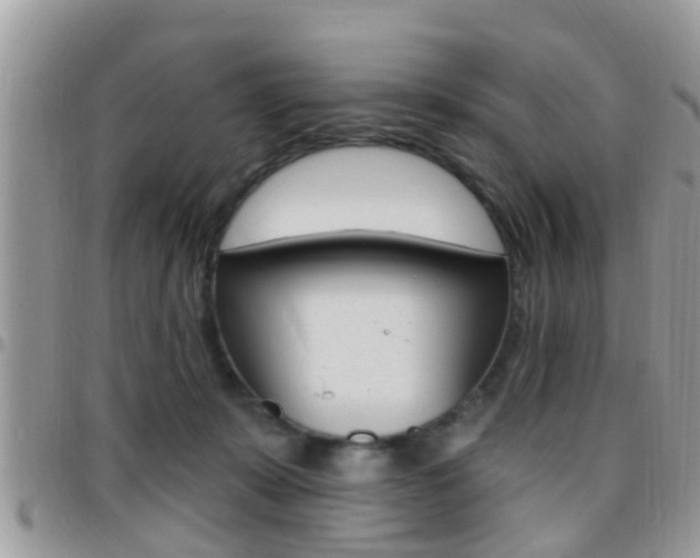 X0000096150319200801180835