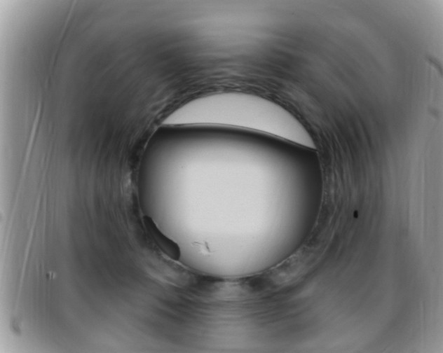 X0000096150320200801180835