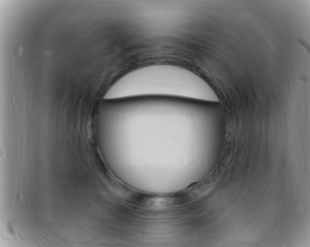 X0000096150323200801180835