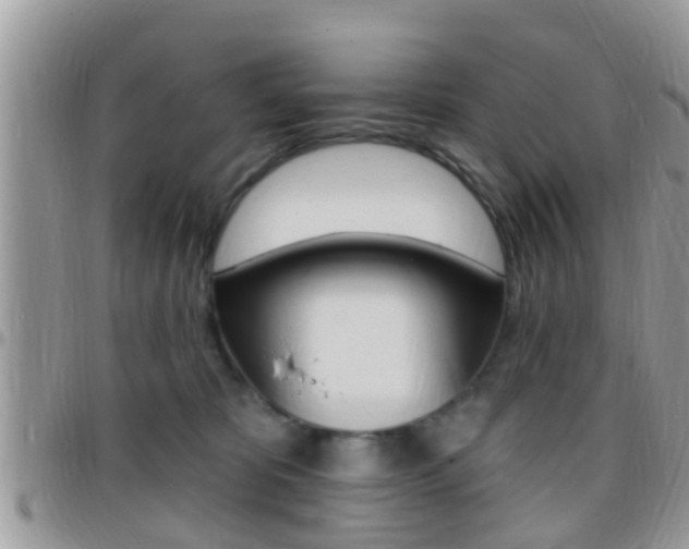 X0000096150325200801180835