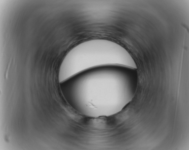 X0000096150327200801180835